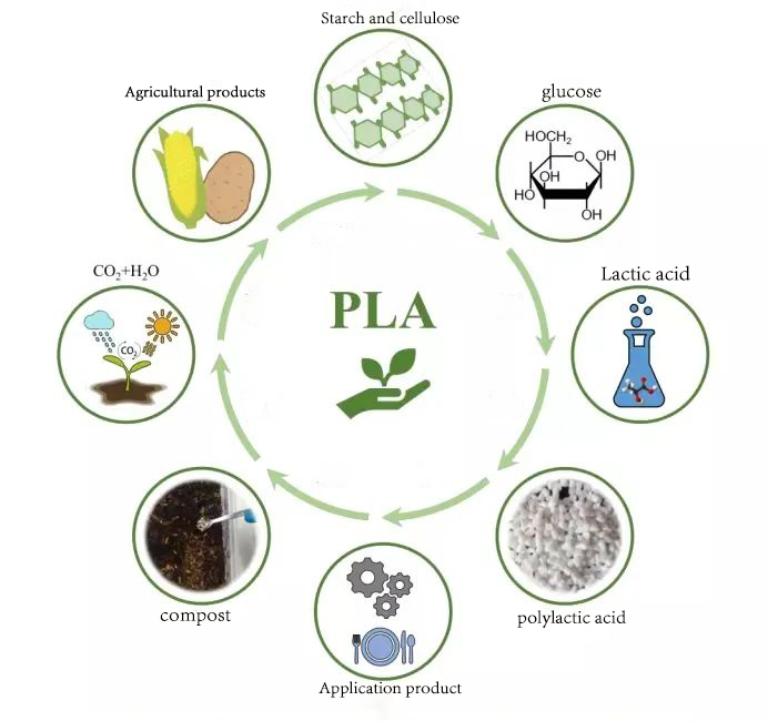    Polylactic acid-- a bio-degradable material helps the green