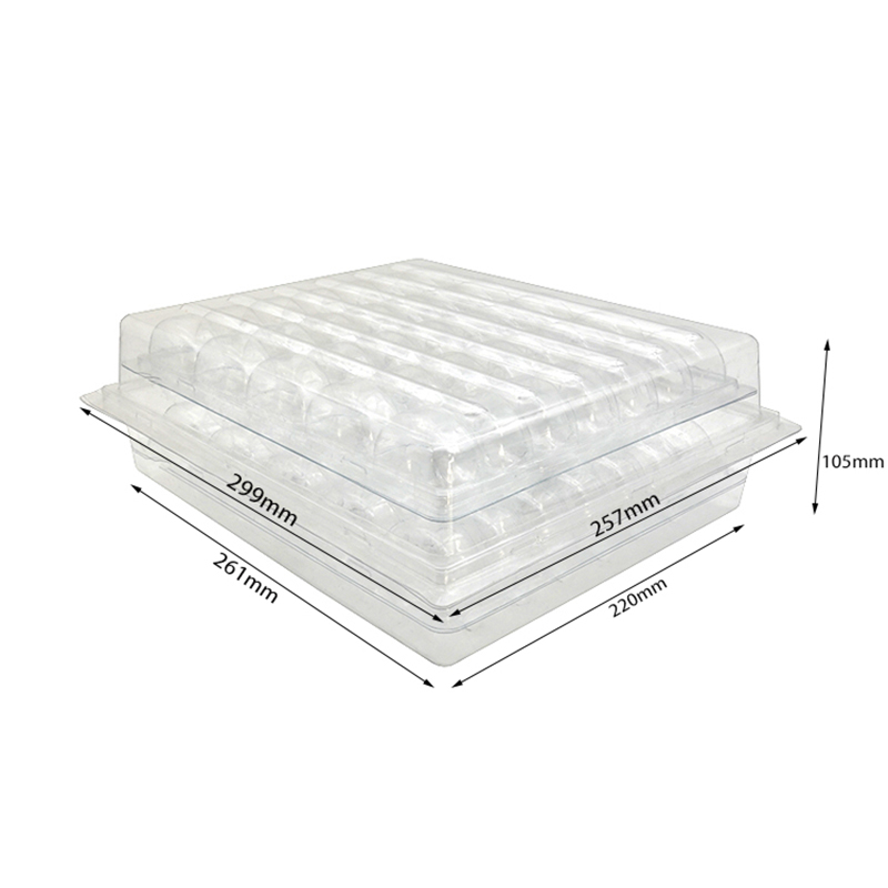 macaron plastic blister box