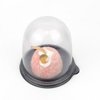 mini cake dome plastic box
