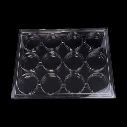 12 cookies clear packaging box